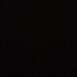 Meet your Posher, Laila